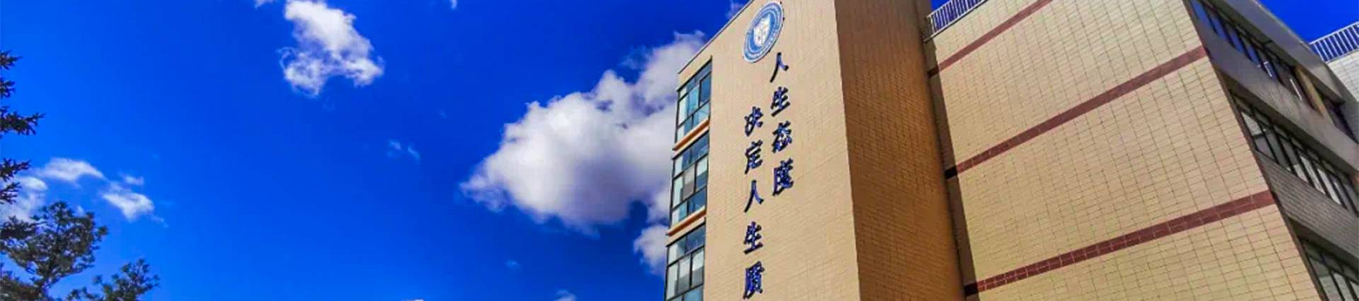 Weihai Zhongshi Foreign School (WZFS) banner