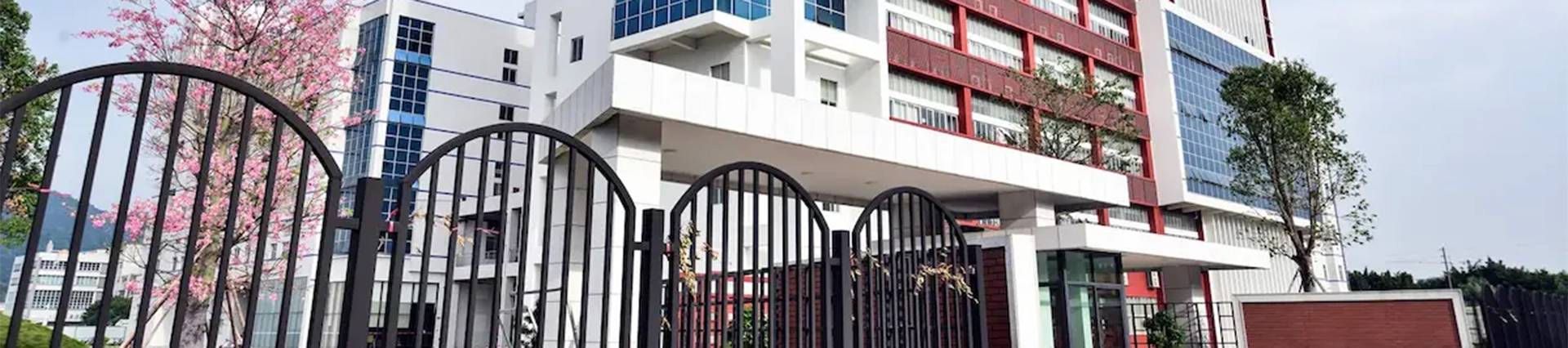 Alcanta International College banner