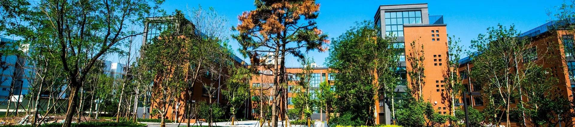 Beijing Academy International Department (BAID) banner
