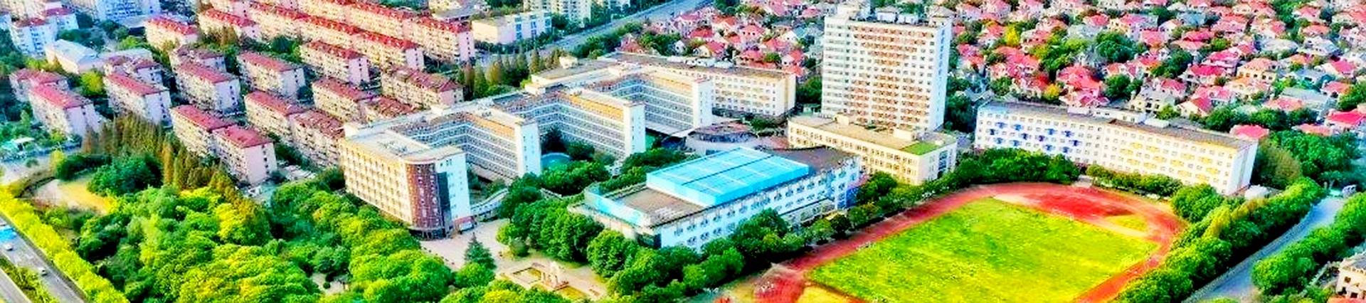 Shanghai Gold Apple Bilingual School banner