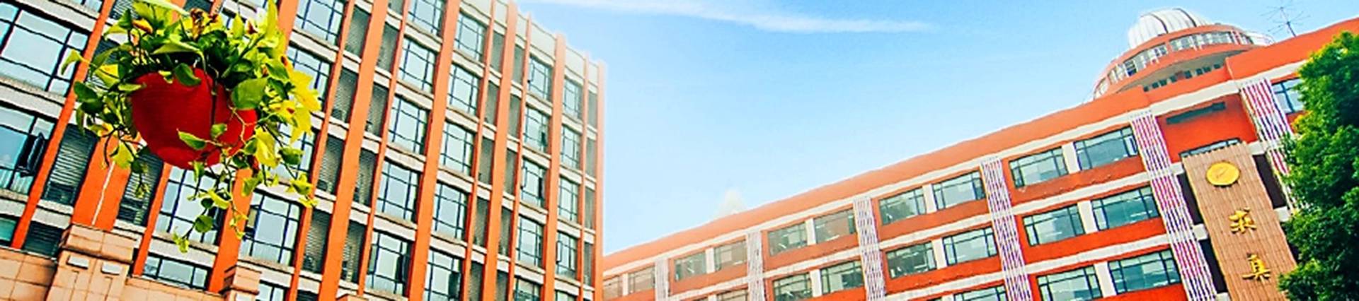 Wuhan No.2 High School banner