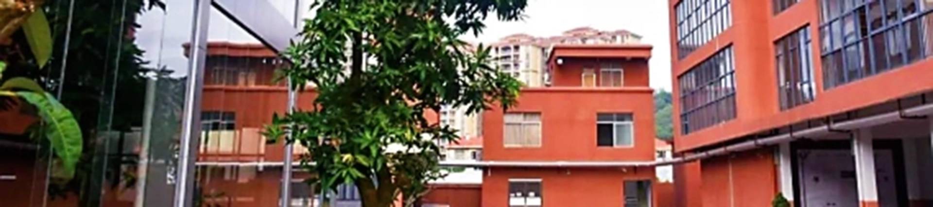 Yangjiang Yangdong Eone school banner
