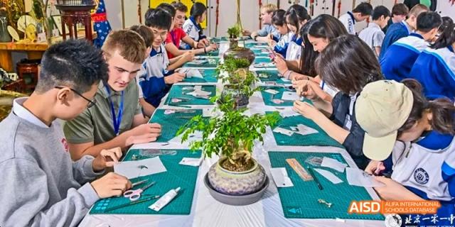 A group of students are seated around a long table with a potted plant on it at Beijing 101 Middle School.
