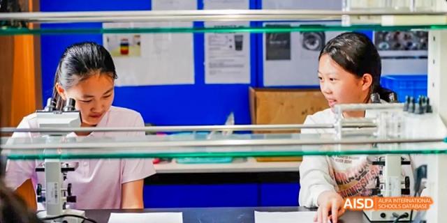 Two students, a boy and a girl, looking at something together at Beijing International Bilingual Academy.