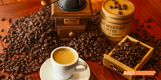 A coffee cup next to a wooden coffee grinder and a pile of coffee beans, representing a cafe at Beilu Academy.