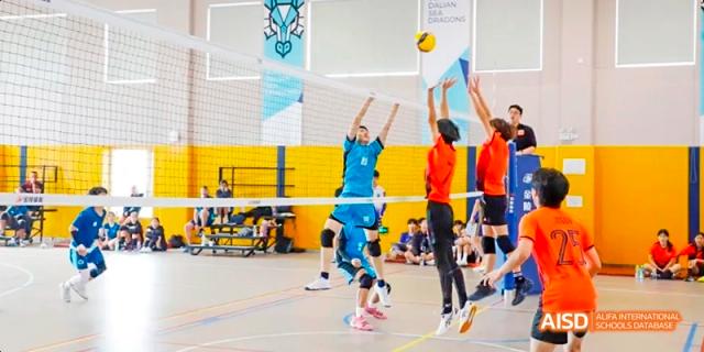 Two volleyball players jumping to hit a ball over a net at Dalian American International School.