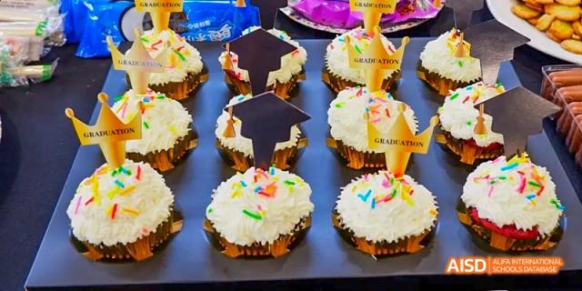 A tray of cupcakes with colorful frosting at Dalian American International School.