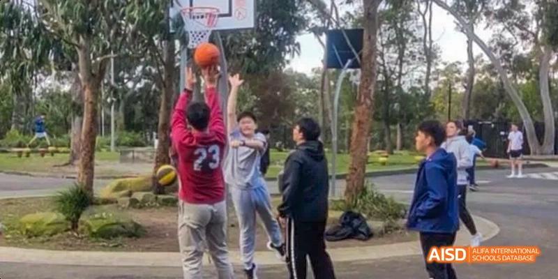 Ealing International School students are playing basketball outside on a sunny day.