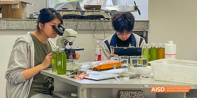 A male student from the International Department of Chengdu Shude High School working on a complex experiment under a microscope in a laboratory setting.