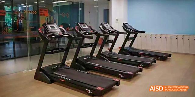 A row of treadmills in the school's fitness center or gym at Majestic International College.