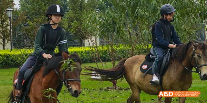 A large horse is grazing on a field at Malvern College Chengdu.