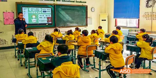 Students in yellow sweaters seated in a bright classroom at Maple Leaf International School - Luoyang.