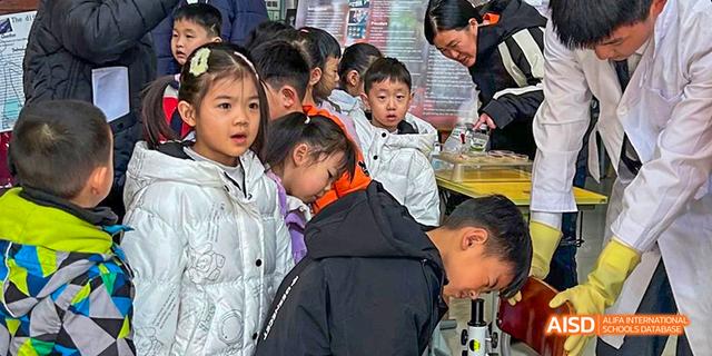 Students gathered in a group, looking at something at Maple Leaf International School - Luoyang.