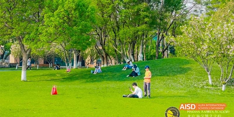 Students and families relax and sit on a lush green grassy hill under the shade of tall trees during a sunny outdoor event at Beijing Haidian Kaiwen Academy.