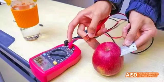 A student's hand from Kunming No.1 High School International Education uses a multimeter on an apple as part of a science class.