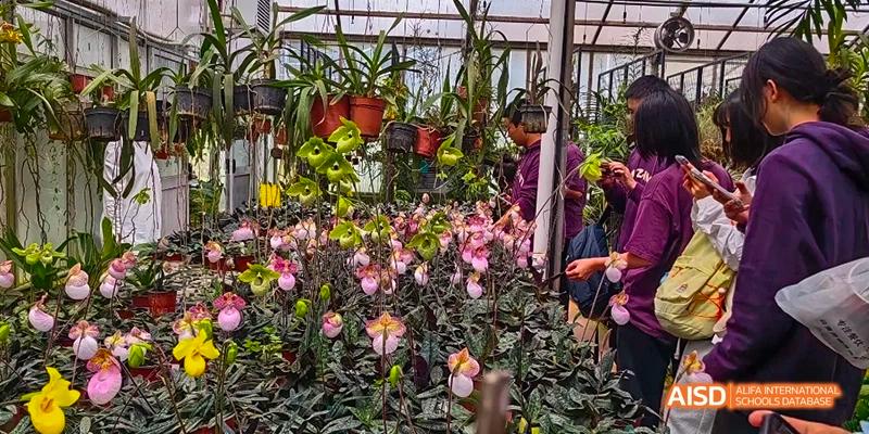 A display of various flowering plants, including pink orchids, at an event hosted by Kunming No.1 High School International Education.
