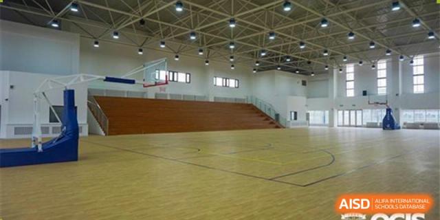 The spacious, multi-purpose indoor gymnasium at Oriental Cambridge International School, featuring wooden flooring, seating risers, and a basketball hoop.