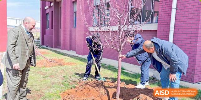 Students or staff from Oriental Cambridge International School planting a small tree with pink blossoms outside the school building as part of a campus greening initiative.