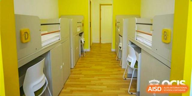 A clean, bright hallway at Oriental Cambridge International School, with yellow wooden flooring and white lockers lining the walls.