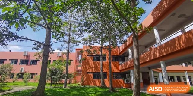 A vibrant orange multi-story school building is partially shaded by tall green trees on a sunny day at Guangzhou Yinghao School.