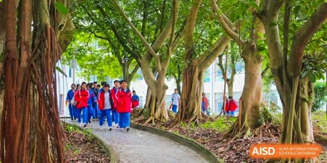Students in red and blue jackets walk along a curved stone path beneath large, leafy banyan trees on the campus of Guangzhou Yinghao School.