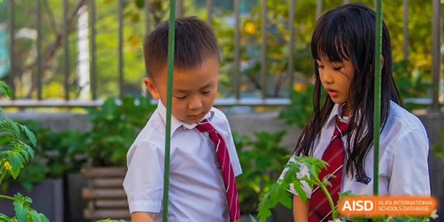 A young student from The British School of Nanjing in a white shirt and a red tie, looking down at a plant.