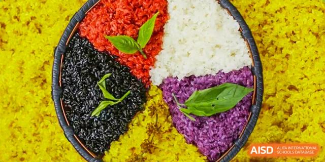 Four piles of colorful, cooked rice (red, black, white, and purple) arranged in a square at UWC Changshu China