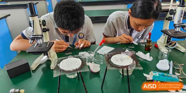 Students from Nanjing Dongshan Foreign Language School International Department are conducting a science experiment at their desks.