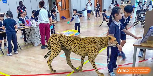 A student from BASIS International & Bilingual Schools Chengdu interacting with a cheetah on a leash in an indoor setting.
