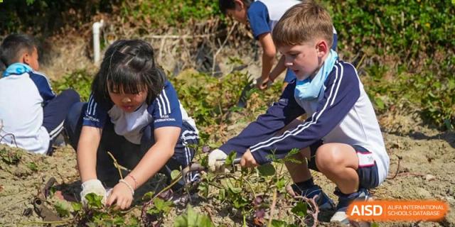 Students from BASIS International & Bilingual Schools Chengdu working together on an outdoor project, possibly gardening or clean-up.