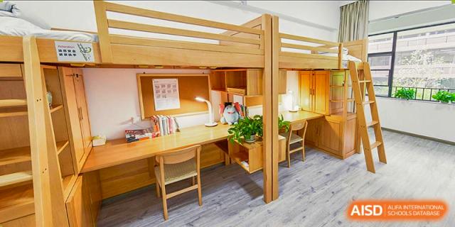 A well-furnished student dormitory room at BASIS International & Bilingual Schools Chengdu, with a loft bed, desk, and bookshelf.