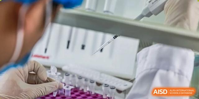 A laboratory scene showing a rack of test tubes with liquids and a pipette, representing a science class at AcaBridge Academy.