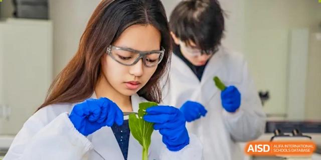 An AcaBridge Academy student wearing safety goggles and blue gloves, carefully examining a plant leaf during a lab experiment.