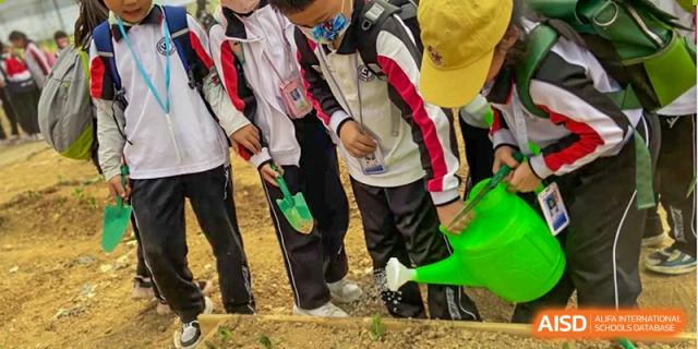 Shenzhen Yaohua Experimental School students in school uniforms watering plants outdoors during a school activity.