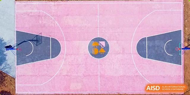 An aerial view of a bright pink sports court from Vindu-Charlie Lakefield College featuring markings and a circular design in the center.