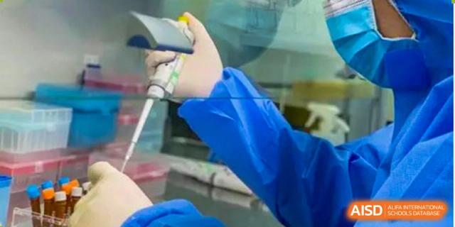 Close-up of a person in a blue lab coat and gloves using a scientific pipette for an experiment, Fuyuan British American School.