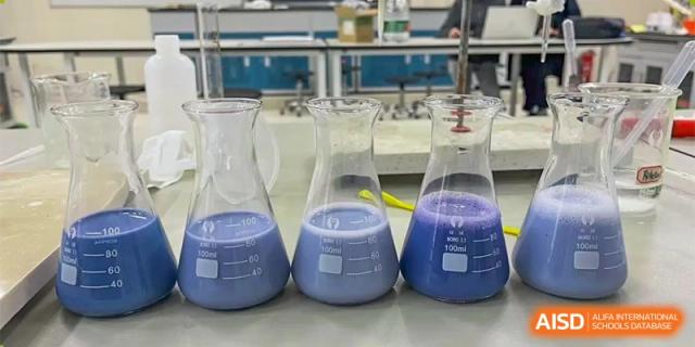 A science lab at Changwai Bilingual School with beakers containing blue and purple liquids.