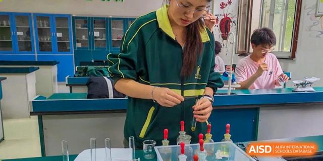 A female student conducting a chemistry experiment using test tubes and liquids at Maple Leaf International School-Zhenjiang.