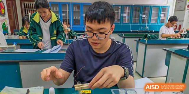 A male student concentrating on a practical science experiment or building project in a classroom at Maple Leaf International School-Zhenjiang.