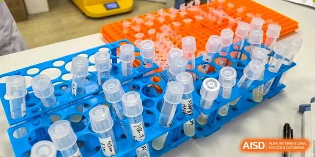 A close-up of a rack filled with multiple test tubes containing various liquids at the High School Affiliated to Shanghai Jiao Tong University.