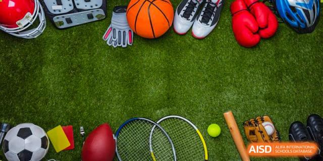 A collection of sports equipment, including a basketball, tennis rackets, and gloves, is arranged on a green surface at Wahaha Bilingual School Hangzhou.