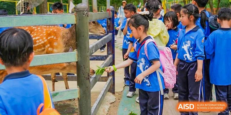 A student from Shanghai United International School Hefei Campus feeding a goat.