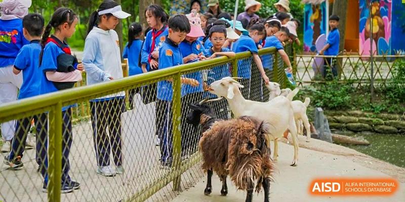 Students from Shanghai United International School Hefei Campus feeding goats at a petting zoo.