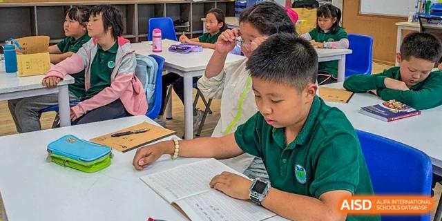 A male student from Beanstalk International Bilingual School Kunming wearing a green polo shirt and focused on reading or writing in an open textbook at his desk.
