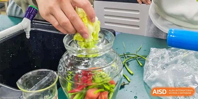 A student is placing a piece of cabbage into a large glass jar filled with other vegetables and liquid at Chengdu Meishi International School.