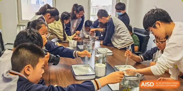 Qingdao Cornerstone Bilingual School students working on a project with clay or other materials.