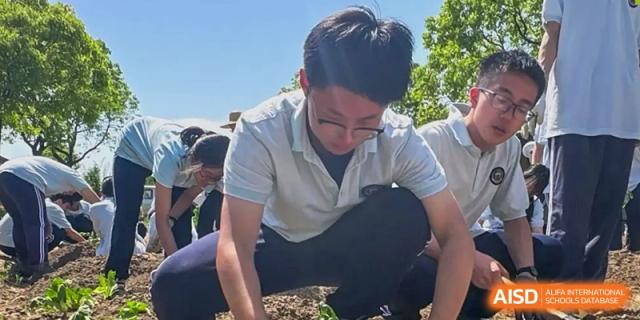 A student is crouching down to work in a garden area at Shanghai Shangde Experimental School.