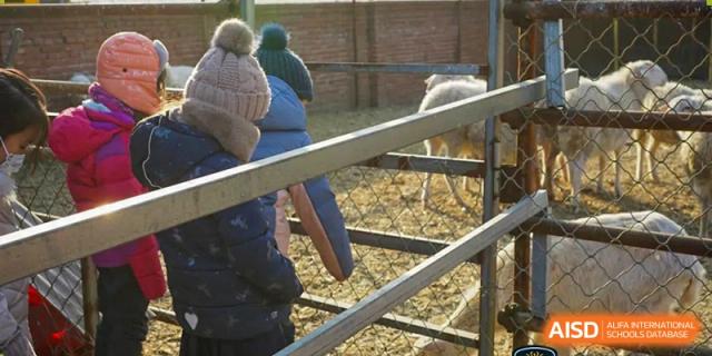 Two students are reaching out to pet a sheep at HuZ Deutsche Schule Shenyang.