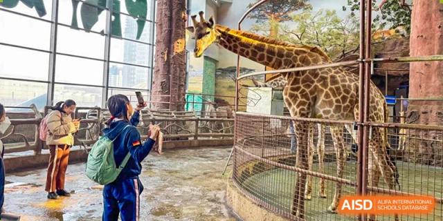 A group of students from HuZ Deutsche Schule Shenyang on a field trip, observing a giraffe in an enclosure.
