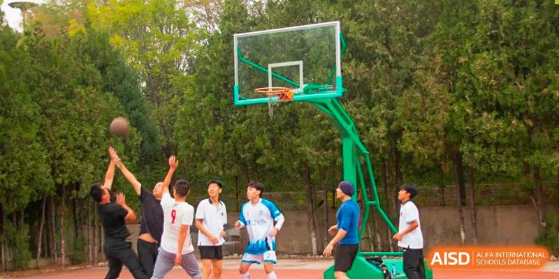 Students playing basketball on an outdoor court with a green hoop and backboard at Shanxi Plinth International School.